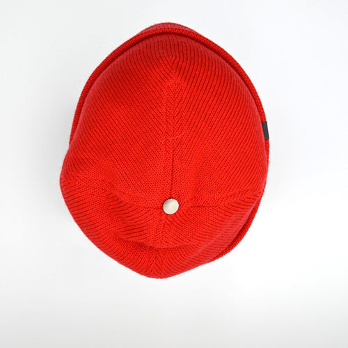 a top view wanaka cuffed beanie in poppy with a silver bean