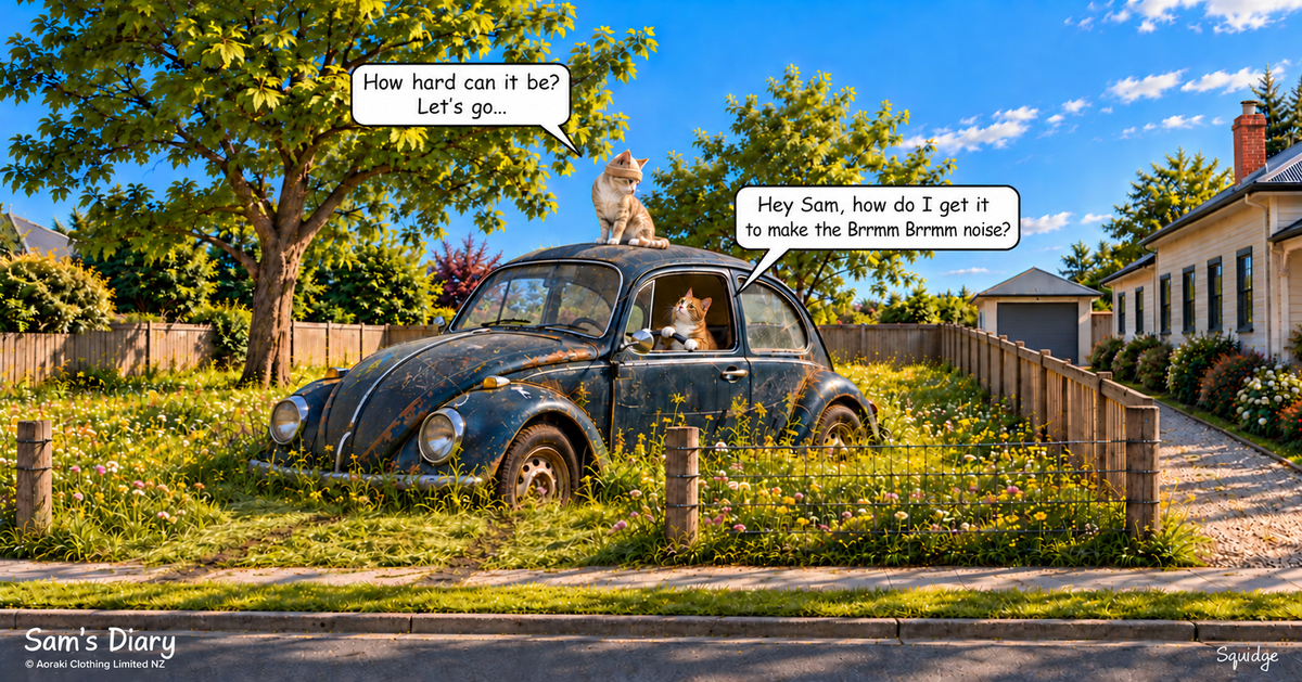 Sam and Jethro take a Beetle for a drive