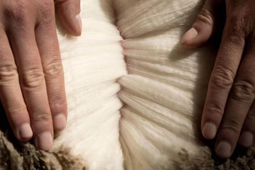 Why Merino Wool Is Better for Winter