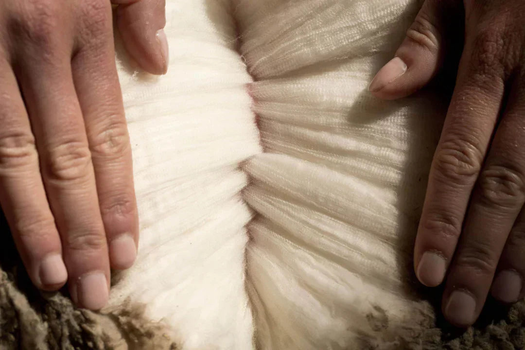 Merino Wool fleece