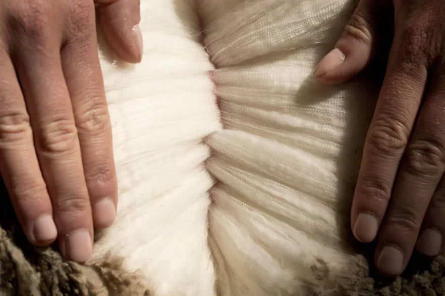 Merino Wool fleece