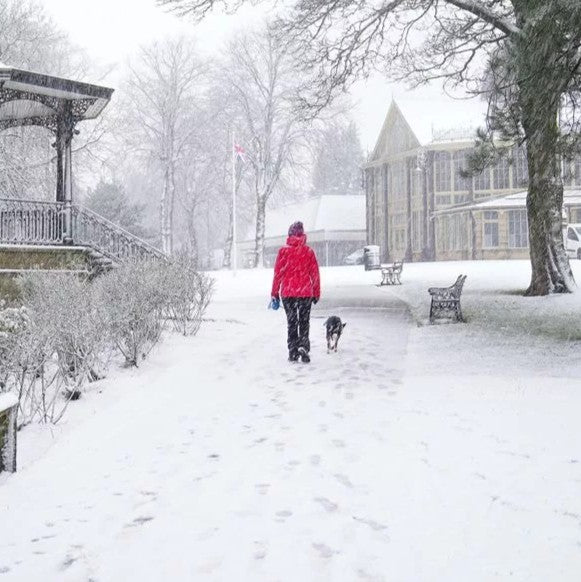 A woman in a No1 Stripe beanie walking dog in heavy snow.